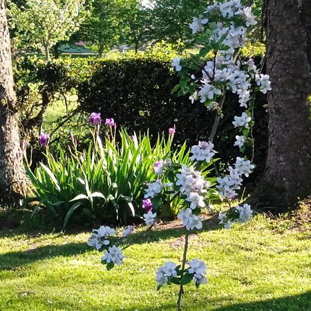 Les Hortensias La Feuillie  Εξωτερικό φωτογραφία