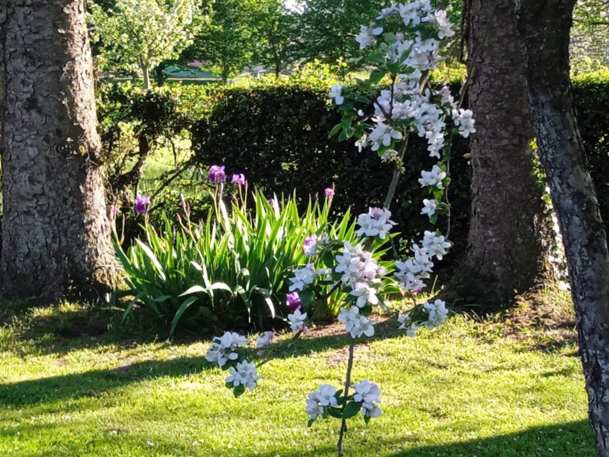 Les Hortensias La Feuillie  Εξωτερικό φωτογραφία